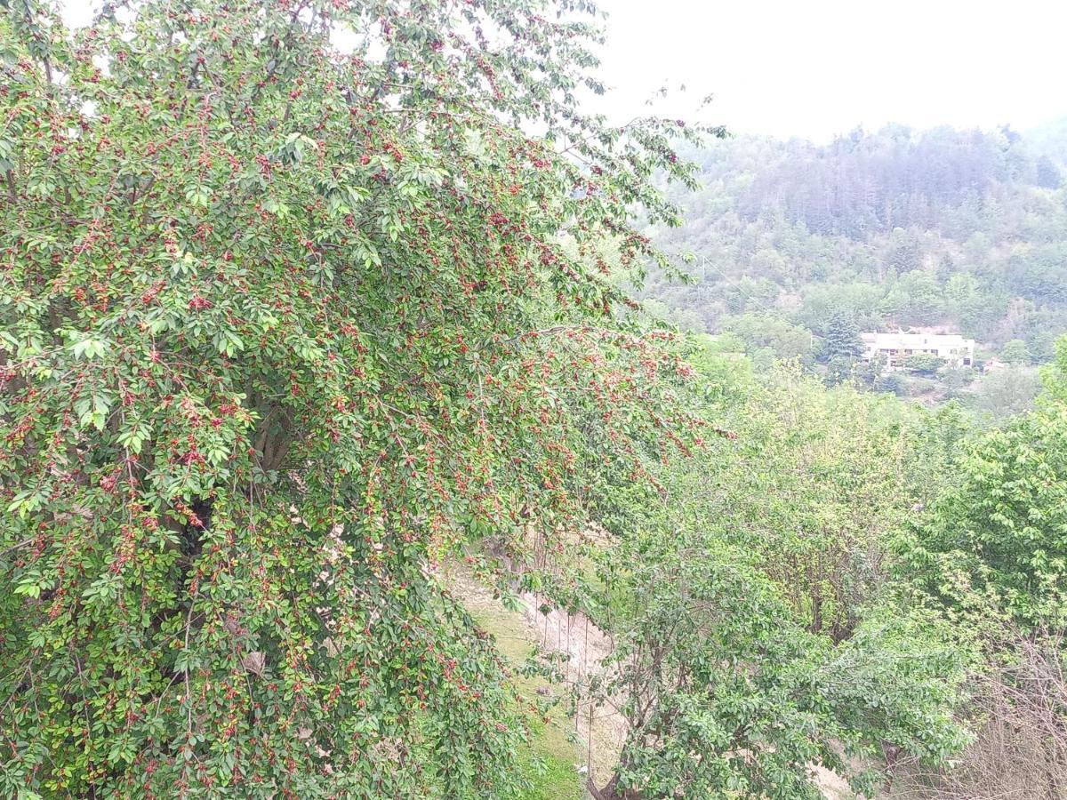 阿奎泰尔梅La Contea住宿加早餐旅馆 外观 照片